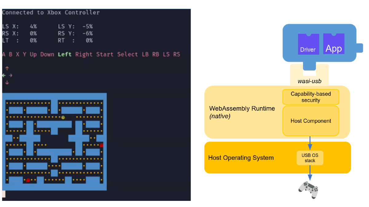 Cyber-Physical WebAssembly